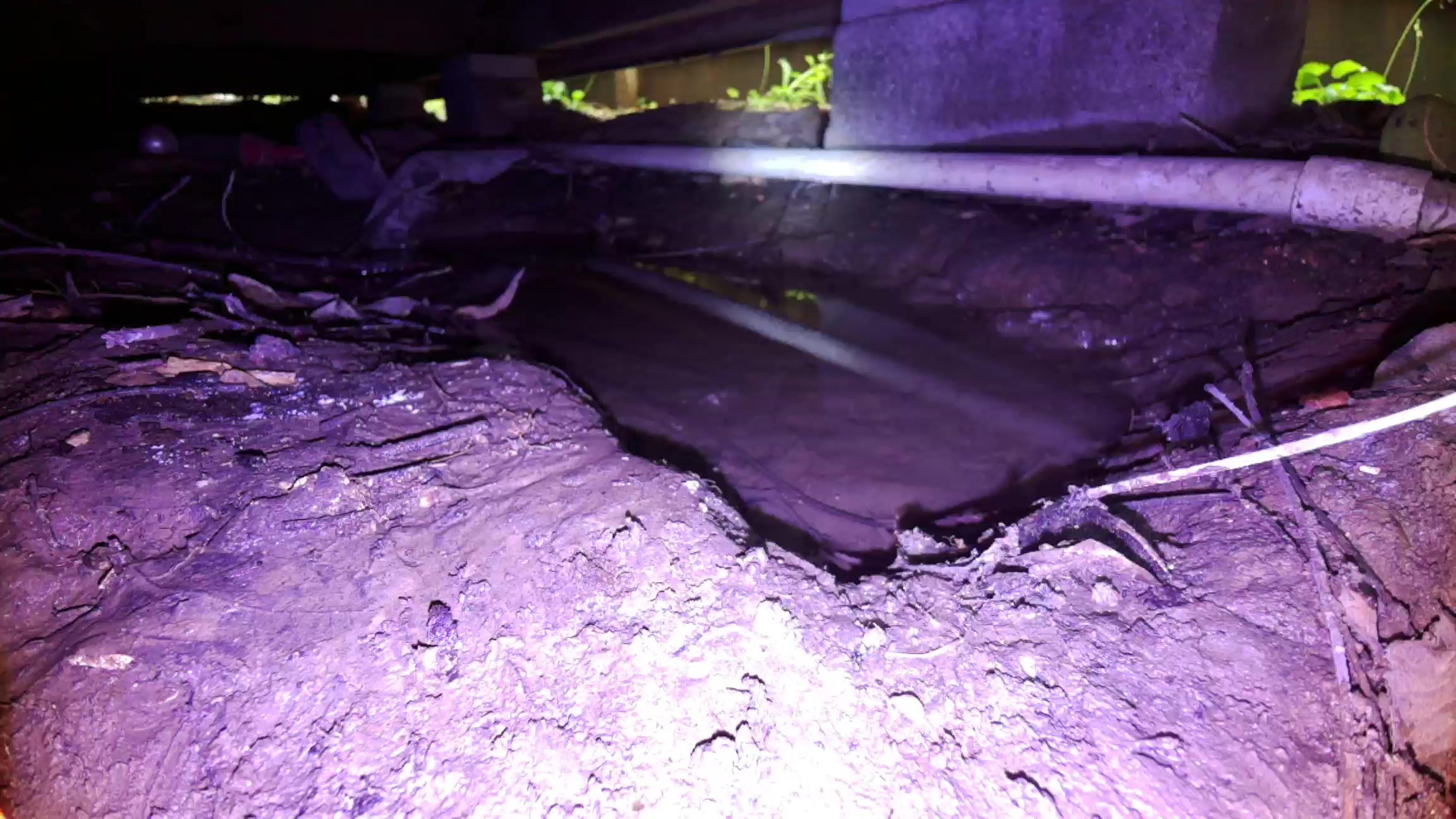 Standing water documented beneath a Houston home